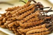 冬虫夏草可以放冰箱吗 冬虫夏草发黑了能吃吗