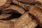 湿气重喝牛蒡茶有用吗 湿气重喝牛蒡茶能减肥吗