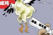 速成鸡能吃吗,几十天就出笼的激素鸡，能放心吃吗？