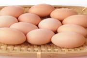鸡蛋可以代替鸡胸肉吗 鸡蛋和鸡胸肉哪个更利于减肥