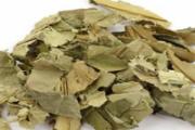 荷叶茶能加蜂蜜一起喝吗 荷叶茶加姜片可以吗