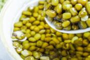 绿豆汤什么季节喝 绿豆汤什么时候喝比较好