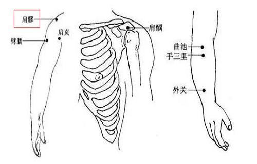 肩贞的准确位置图视频 肩贞怎么定位1肩贞的准确位置图肩贞在肩胛区