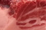 不吃肉可以减肥吗