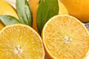 橙子可以用热水烫了吃吗 橙子加热后破坏维C吗