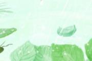 雨水节气是不是就暖和了 雨水时节的气温能达多少度