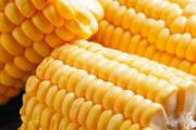 生的玉米可以用微波炉加热吗 玉米在微波炉加热口感好吗