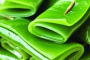 总熬夜吃什么食物好 熬夜后吃5种素食去毒素