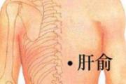 养肝护肝按摩哪里 按摩对肝脏有益