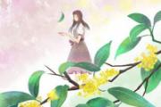 秋分的分是什么意思