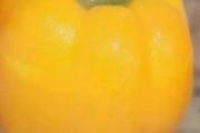 九个月宝宝辅食食谱：甜椒营养盅