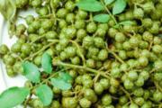 干花椒放冰箱保存好吗 花椒放冰箱湿了怎么办