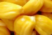 菠萝蜜能不能冷冻存放 菠萝蜜放冷冻能放多久