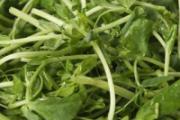 豌豆苗发苦怎么回事 豌豆苗发苦能吃吗