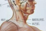  头窍阴的准确位置图片 头窍阴准确位置图和作用