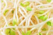黄豆芽哺乳期能吃吗