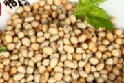黄豆的功效与作用及食用方法