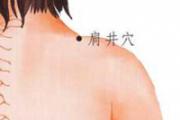 肩部拔罐的位置图