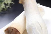 杏鲍菇是转基因食品吗
