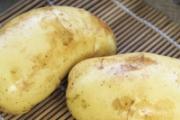 吃土豆会胀气吗 吃土豆为什么会胀气