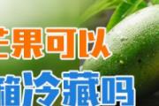 青芒果可以放冰箱冷藏吗 青芒果可以变成黄芒果吗