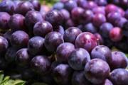 5年吃葡萄籽胶囊的效果 葡萄籽胶囊一般多久见效