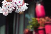 2021春分几时几分几秒 2021年春分会下雨吗