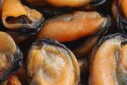 淡菜是冷水还是热水下锅 淡菜如何快速清洗