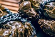 经常吃生腌螃蟹会怎么样 生腌蟹腌多久才能杀死寄生虫