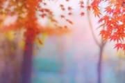 秋老虎在什么时候