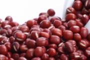 红豆泡久了发芽了还能吃吗 赤豆芽为什么没人吃