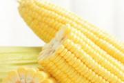 玉米怎样煮又嫩又好吃 玉米煮了第二天还能吃吗