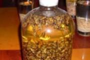 蜂蛹泡酒的功效与作用