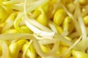 黄豆芽吃了有什么好处 食用黄豆芽要注意什么
