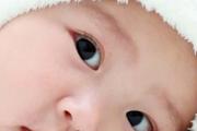 一岁宝宝咳嗽有痰怎么办好的最快 一排痰，二镇咳，三调养最快最彻底！