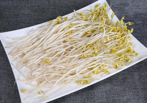 豆芽有点烂了还能吃吗 豆芽有点苦能吃吗 乐哈健康网