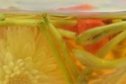 菊花枸杞茶能天天喝吗 菊花枸杞茶多久喝一次好