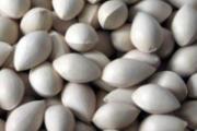 没食欲不想吃饭怎么办 冬天适合吃什么开胃