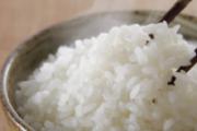 不吃主食能减肥吗