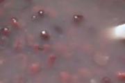 红豆薏米水男生可以喝吗 红豆薏米男生一天喝多少合适
