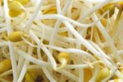 豆芽放冰箱3天还能吃吗 豆芽放久了会不会有毒