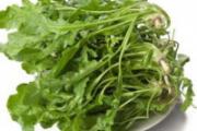 春天能吃的野菜有哪些 这5种野菜吃了好处多