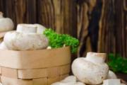 什么蘑菇营养价值最高 这6种菌菇可别错过