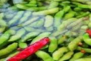 毛豆怎么煮好吃又入味 毛豆可以煮粥吗