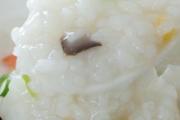 过夜的米粥第二天可以喝吗 隔夜粥吃了呕吐怎么办