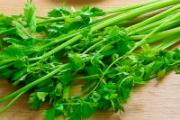 西芹与香芹的区别 芹菜怎么挑选