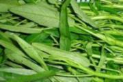 吃什么蔬菜对肝好 对肝病病人有益的蔬菜
