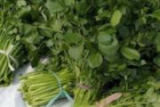 豆瓣菜功效与作用 怎么吃豆瓣菜