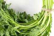 茼蒿菜长什么样 茼蒿治疗失眠吗