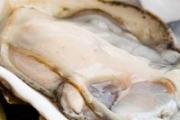 生蚝肉怎么保存 生蚝肉能保存多久